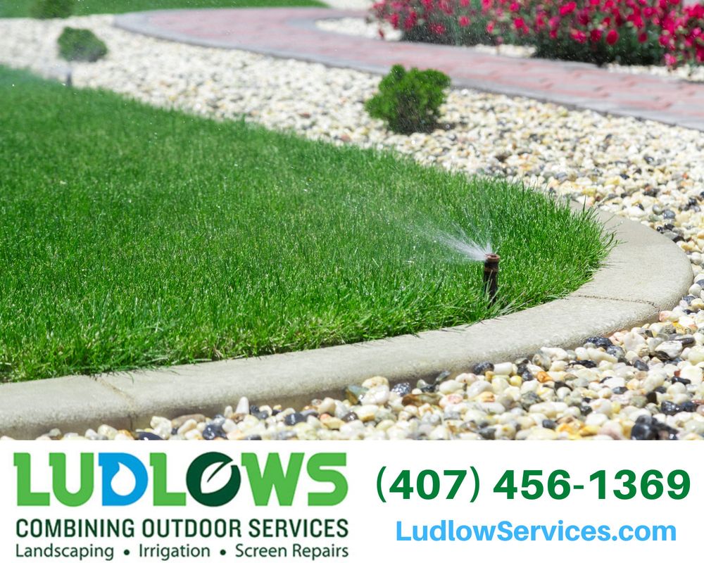 All Photos for Ludlows Services in Clermont, FL