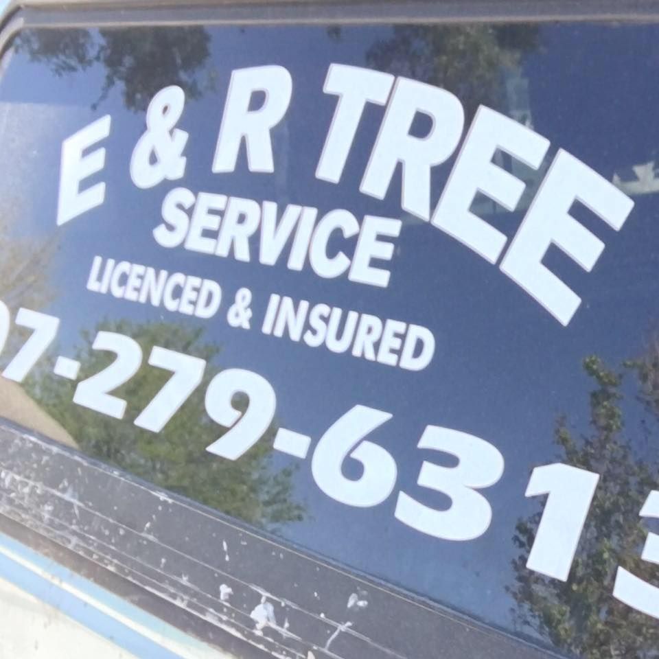 Efficient and Reliable Tree Service team in Lake Wales, FL - people or person