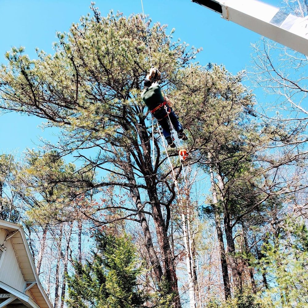 Platas Landscaping & Tree Service team in Clyde, NC - people or person