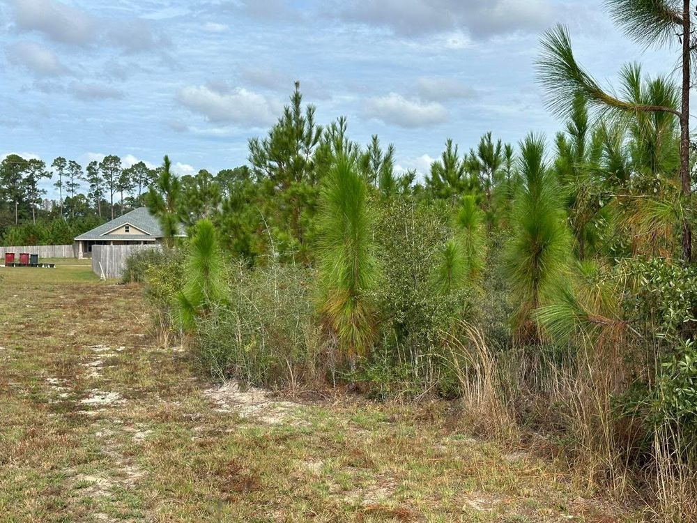 All Photos for White’s Land Maintenance in Milton,, FL