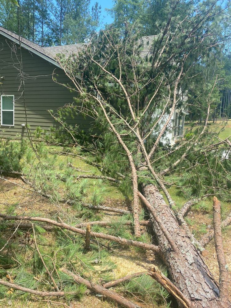 All Photos for Bulldawg Disaster Response in Atlanta, GA