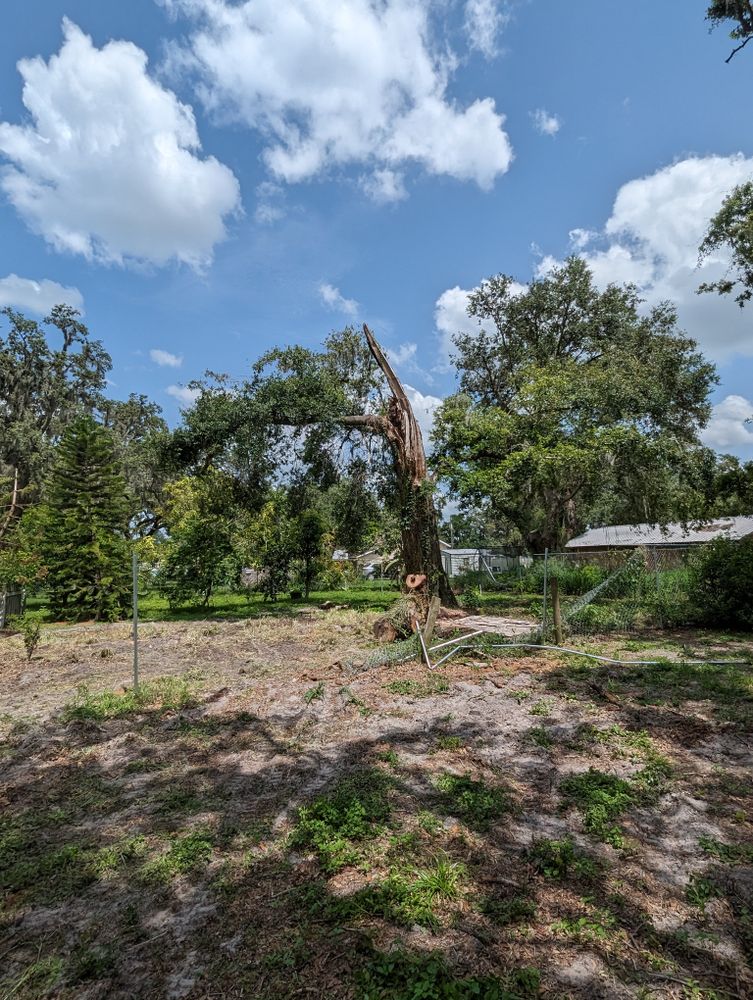 All Photos for Regal Tree Service and Stump Grinding in Wauchula, FL