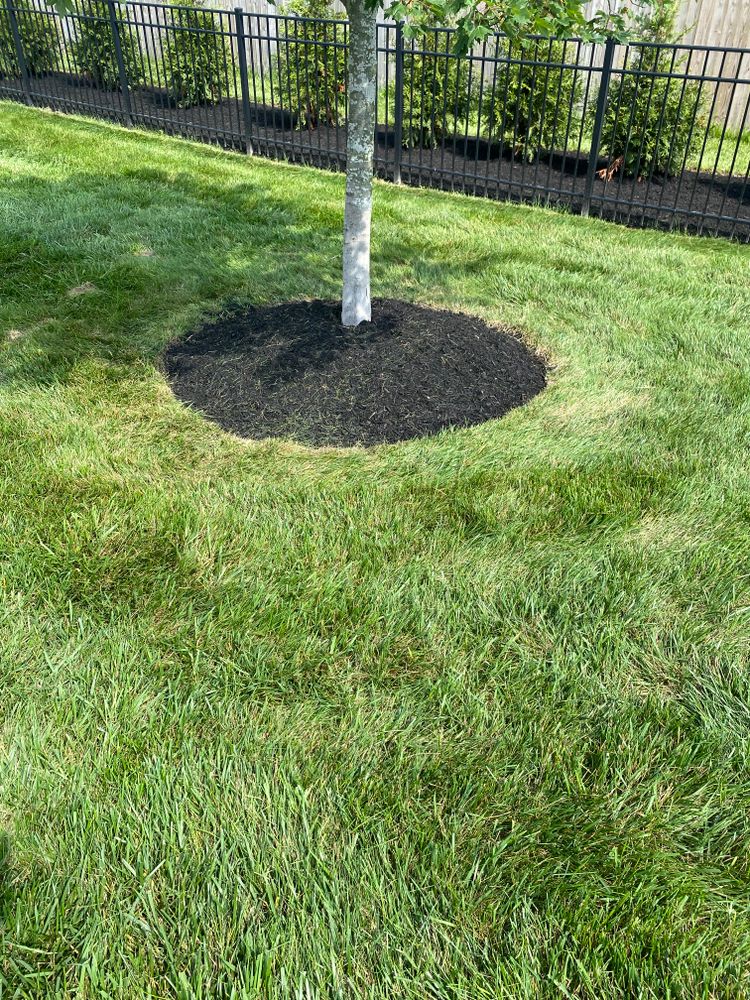 All Photos for Stafford.Works in Brownsburg, IN