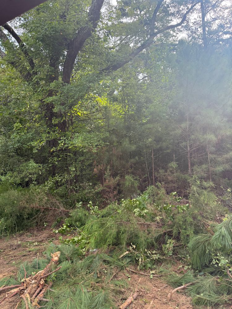 All Photos for West TN Dirt Works in Lexington, TN