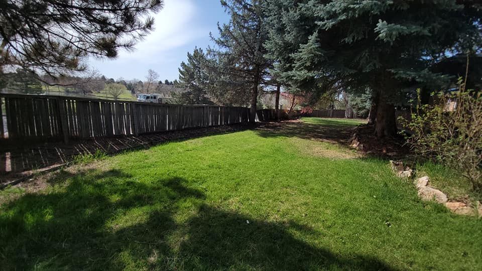 Lawn Care for NGL Landscape Company in Denver, CO