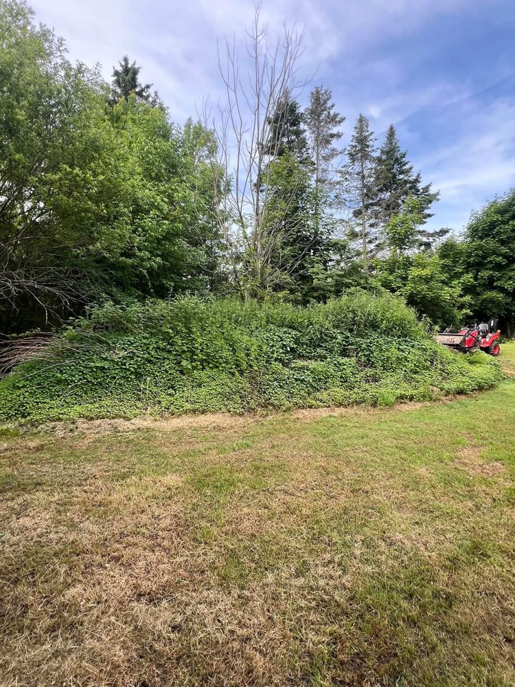 All Photos for Bishop’s Property Maintenance in Franklin, VT