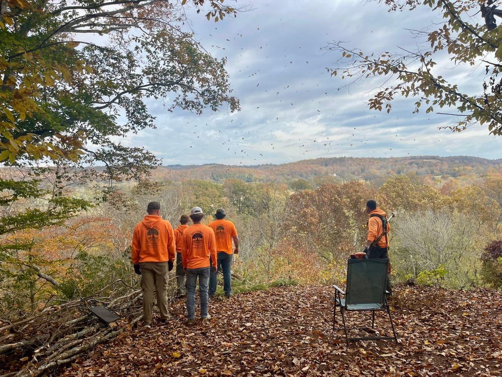 All Photos for Ross Family Tree Service LLC  in Hohenwald, TN