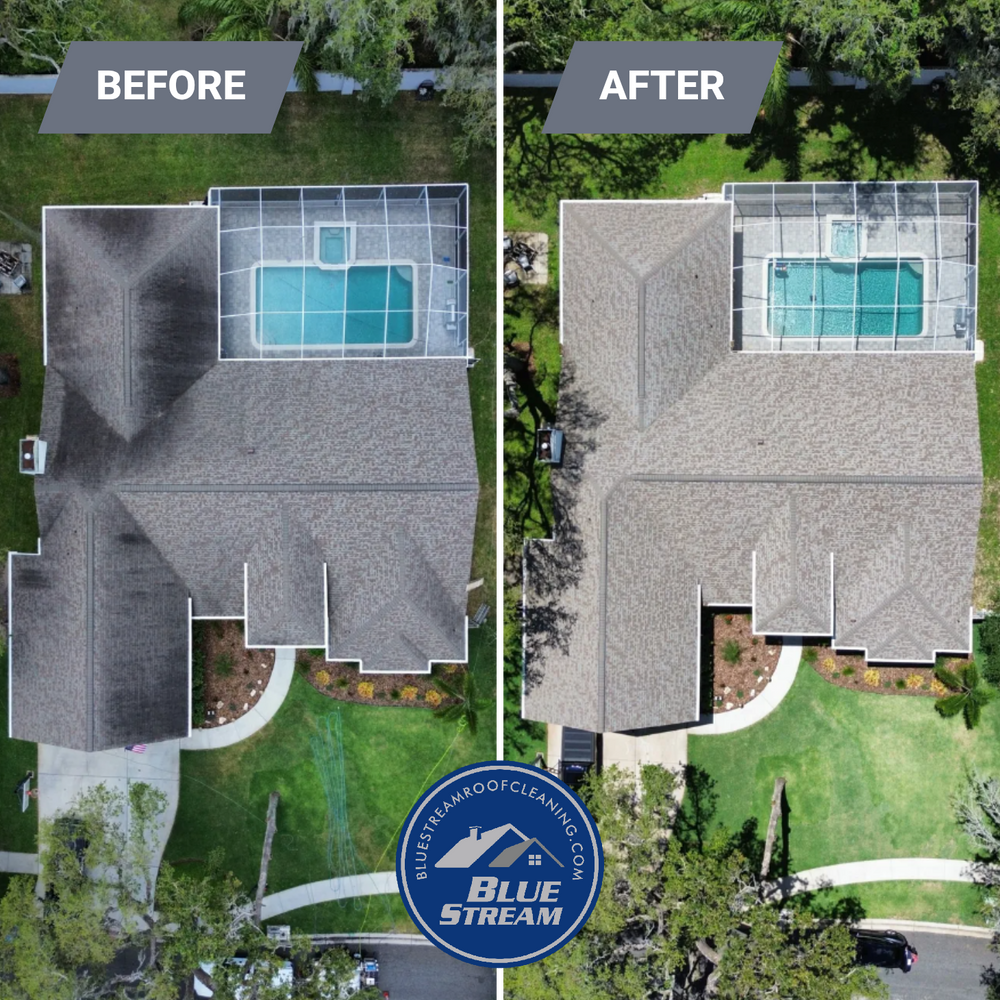 All Photos for Blue Stream Roof Cleaning & Pressure Washing in Tampa, FL