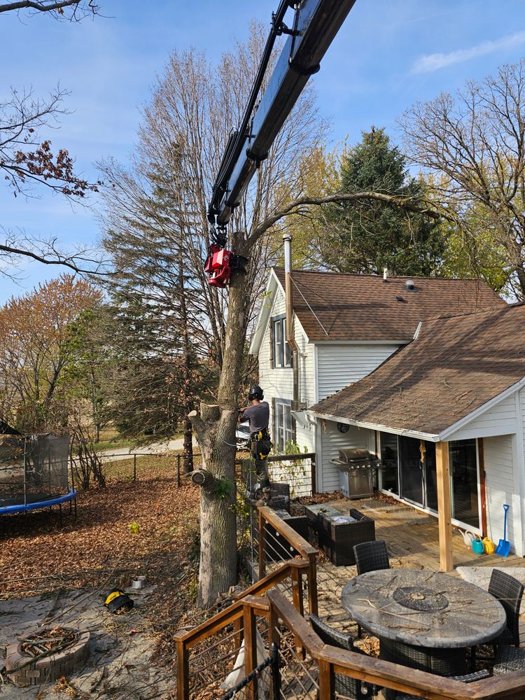 All Photos for Down To Earth Tree Service in Red Wing,  Minnesota