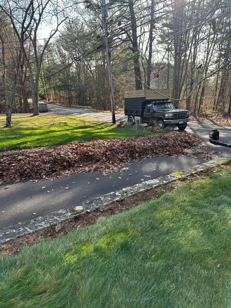 All Photos for Silver City Tree and Landscape in Taunton, MA