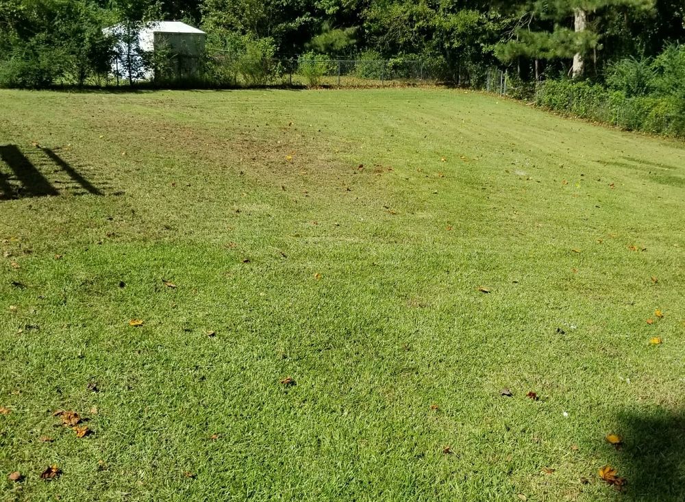 Landscaping for A&A Property Maintenance in Jacksonville, NC