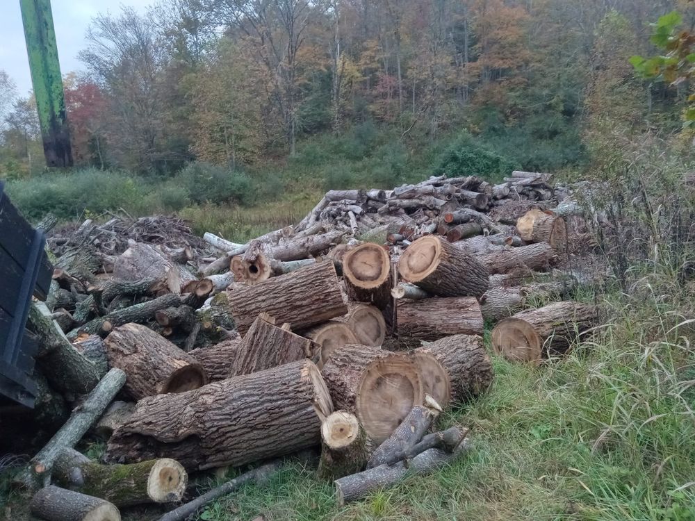 All Photos for KJ’s Tree Service & More LLC in Fraziers Bottom, WV
