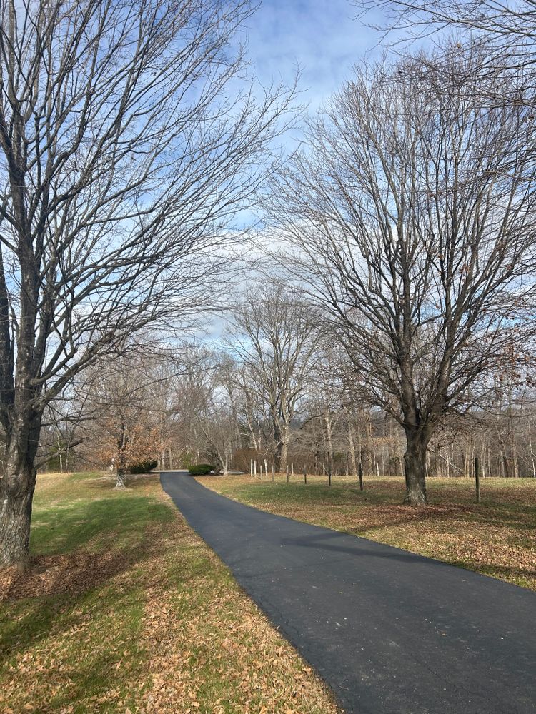 All Photos for Optimum Tree Service And Landscaping in Bowling Green, KY