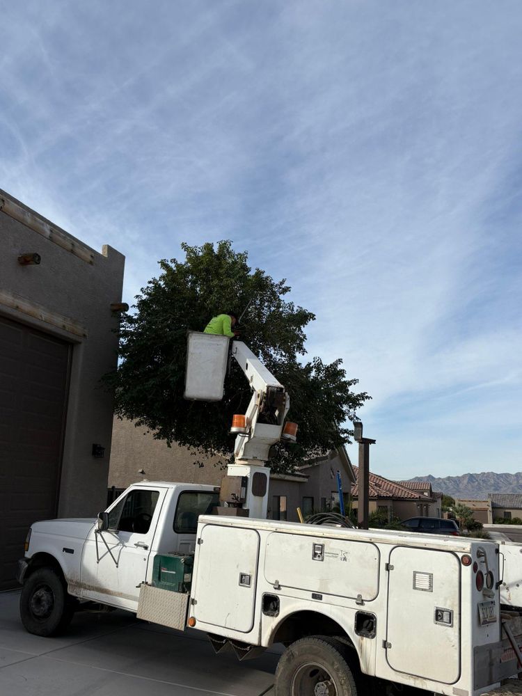 All Photos for Top Notch Landscape Services LLC in Mohave Valley, AZ