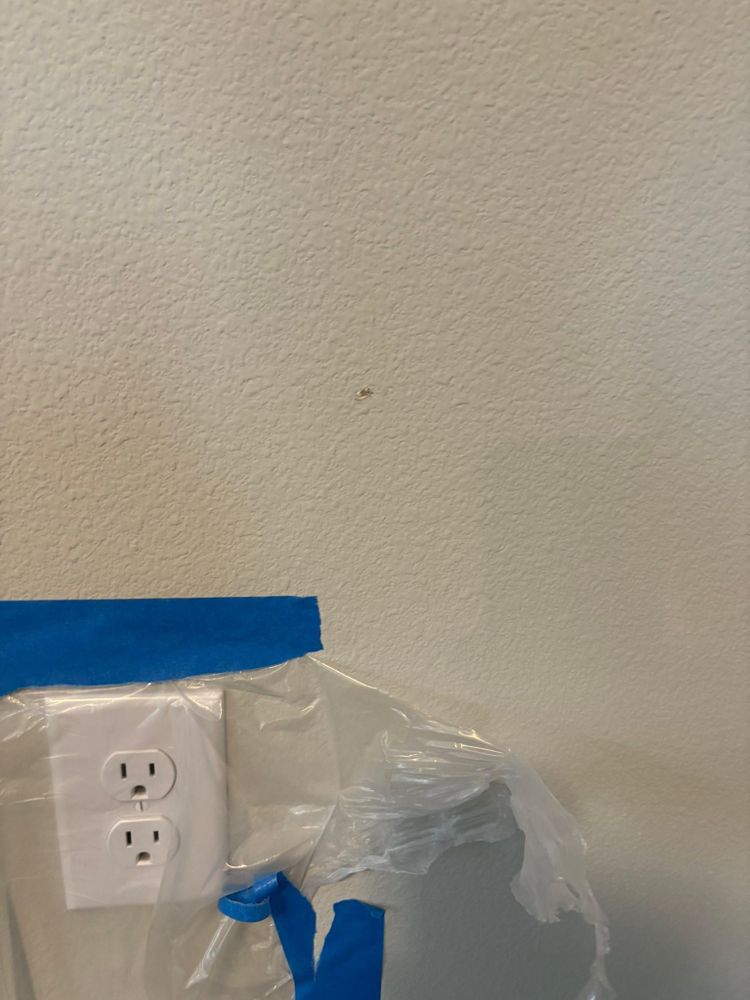 All Photos for Orcutt Roofing & Home Repair Professionals in Portland, OR