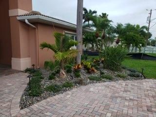 All Photos for Golden Landscape & Tree Care in St. Petersburg, Fl