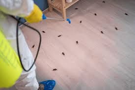 All Photos for Burger Pest Elimination in Miami, FL