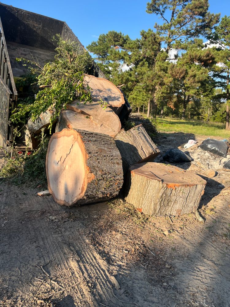 All Photos for JC Land and Tree Service in Kilgore, TX