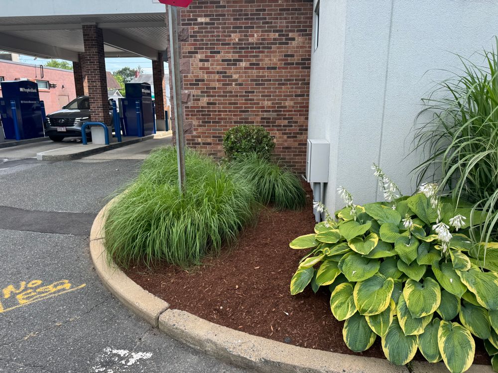 All Photos for Adams Landscaping in Springfield, MA