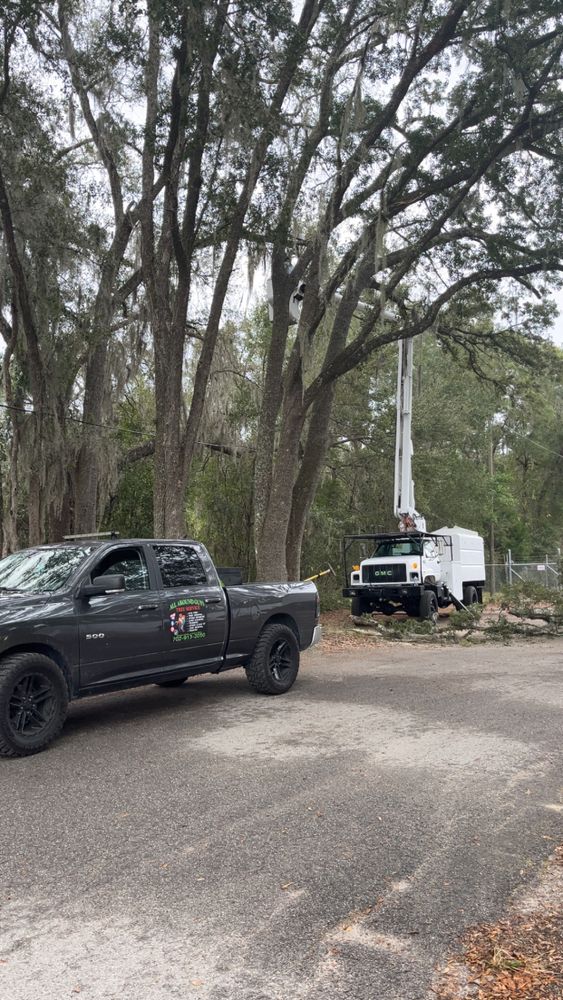 All Photos for All Around Guys Tree Service in Ocala, FL