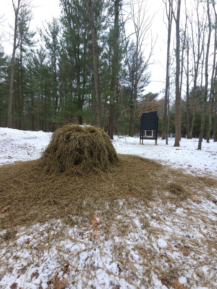 All Photos for Bluff Country Whitetails in Southern Indiana, IN