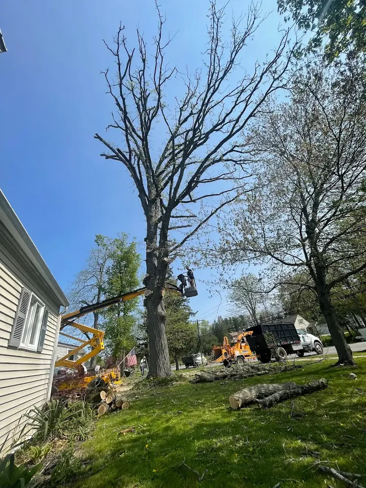 Our Storm Services protect your property before and after severe weather with tree inspection, hazardous limb removal, emergency response, and cleanup—helping keep your home safe, accessible, and looking its best. for Mays Tree and Stump Removal in Alden, NY