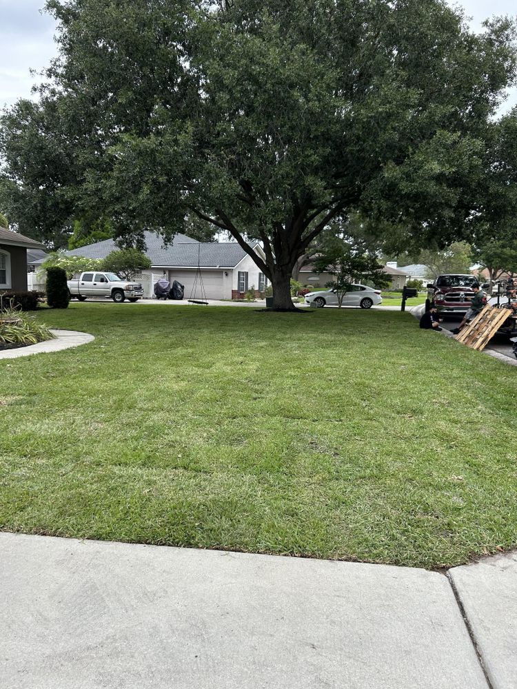 All Photos for Estrada All Pro Lawn Service in Auburndale, Florida