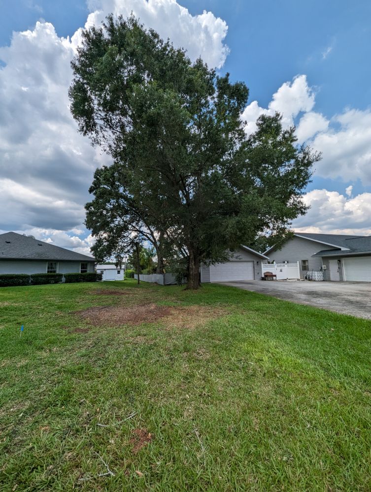 All Photos for Regal Tree Service and Stump Grinding in Wauchula, FL