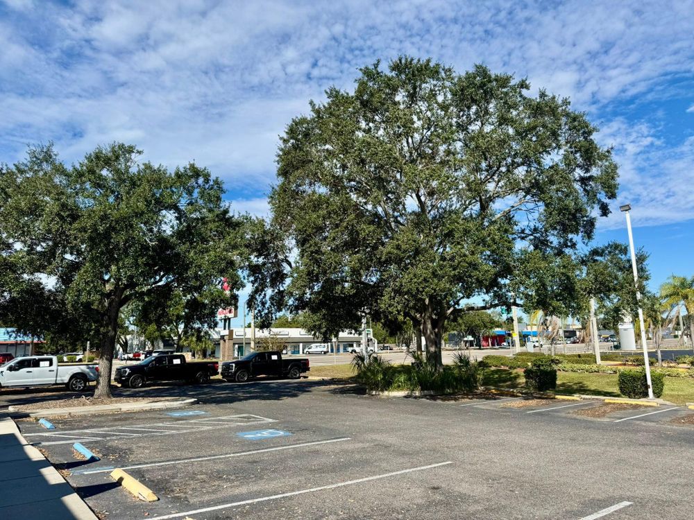 All Photos for Shoreside Property Services in Apollo Beach, FL