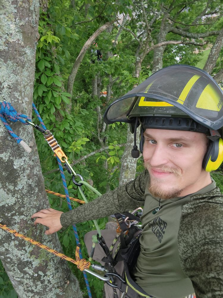 All Photos for Tree Fellers in Sumner County, TN