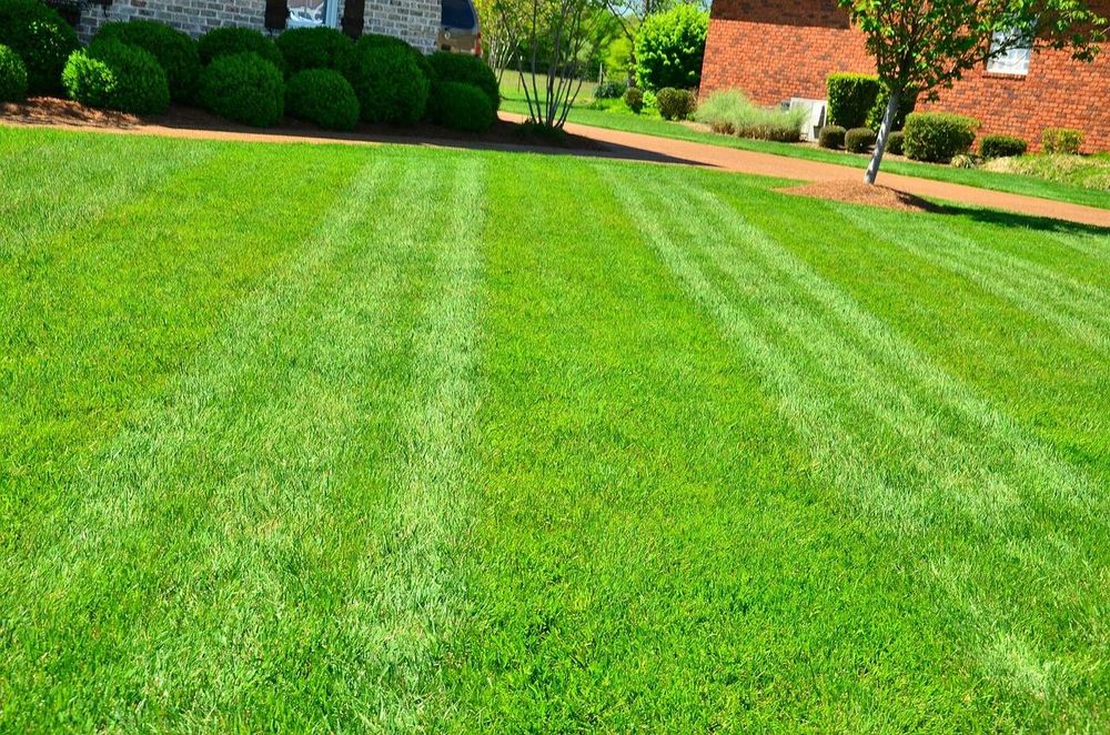 Our Lawn Care Management service ensures your yard is expertly maintained by knowledgeable professionals to enhance the health and appearance of your lawn, leaving you with a lush and beautiful outdoor space. for Grassy Turtle Services, LLC.  in Oxford, CT