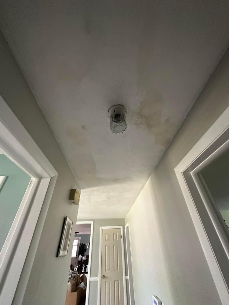 All Photos for Suter & Sons Painting in Amherst, Western Massachusetts
