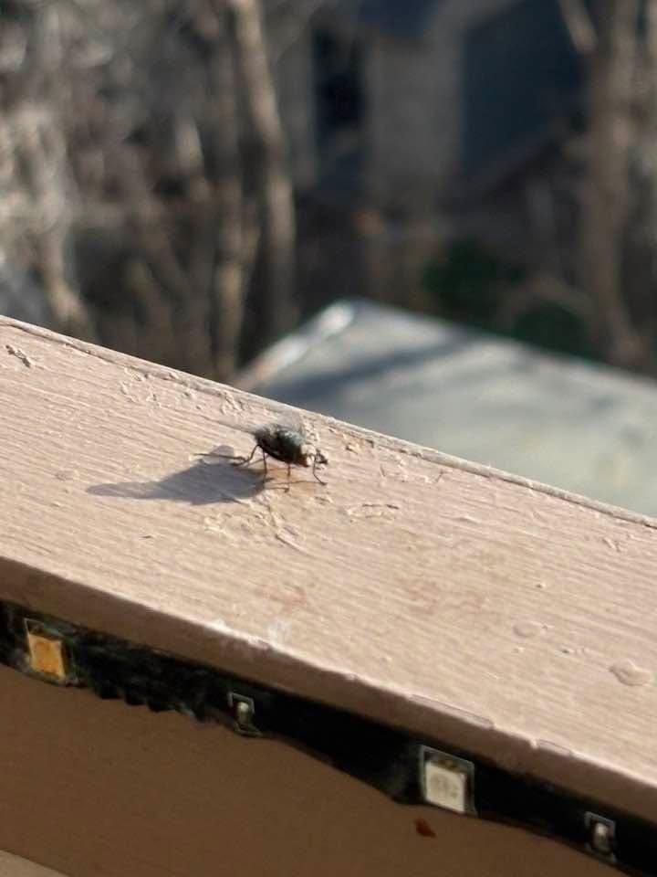 All Photos for D&M Tile in Denver, CO