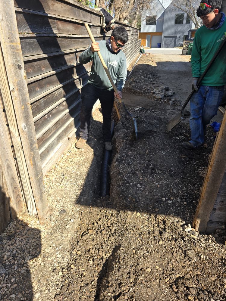 Fontana  for Green Pastures Lawn Care in Bastrop, TX