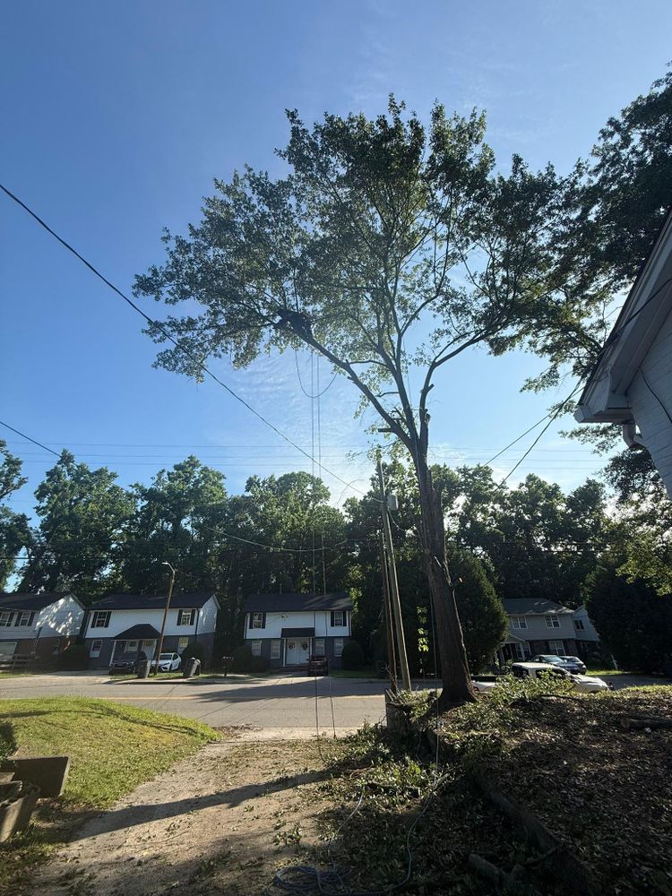 All Photos for Southern Land Improvements in Edgefield, SC
