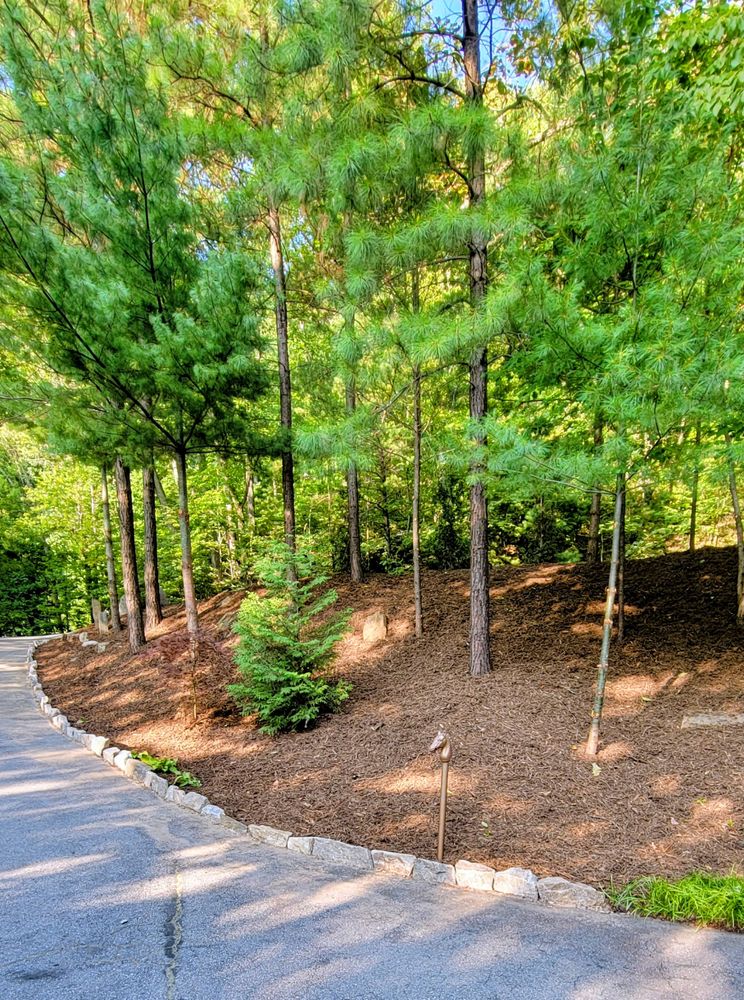 Mulch for C4 TrueVision Renovations in Asheville, NC