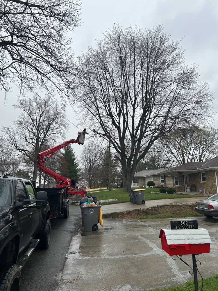 All Photos for SMITHs Tree Service in Columbus, IN