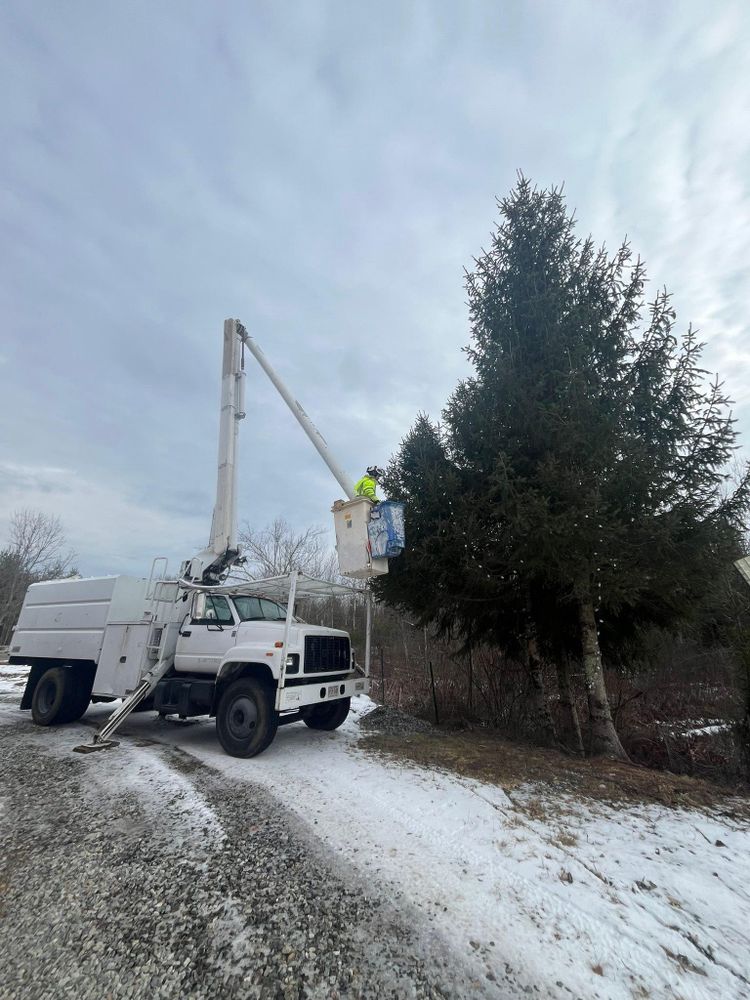 Tree Removal for Harley’s Tree Service in Palmer, MA