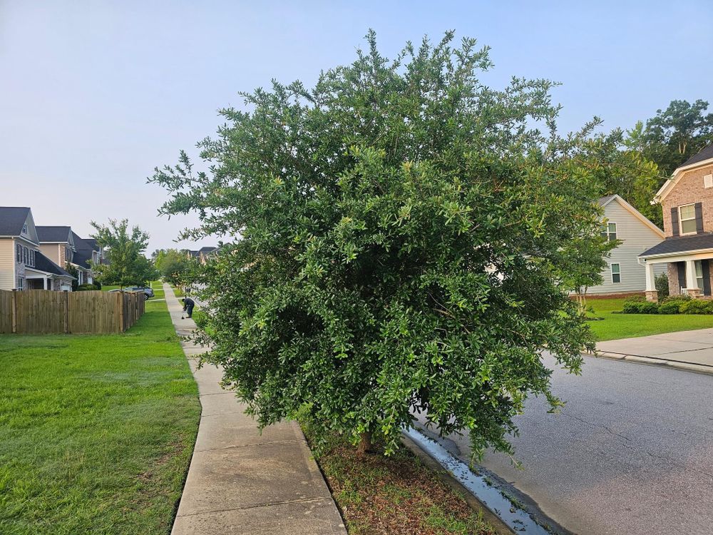 All Photos for 1 Man Does It Lawn Service in Blythewood, SC