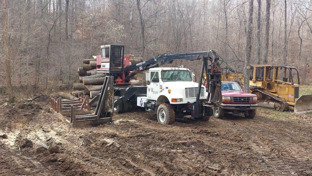 Logging for Bennett Logging in Gosport, Indiana