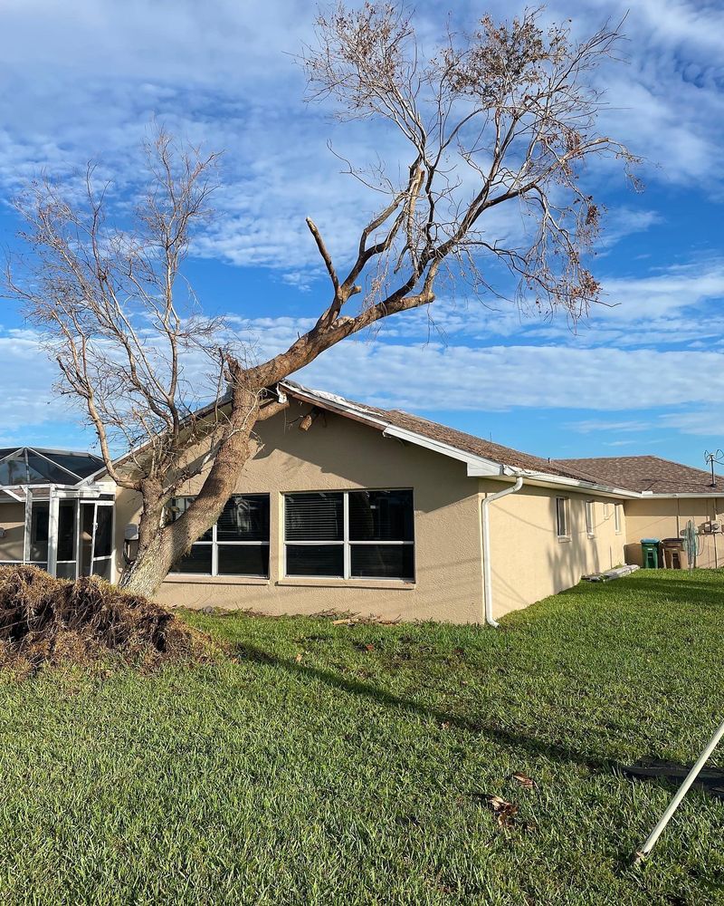 Tree Removal for AB Tree Service in Raleigh, NC