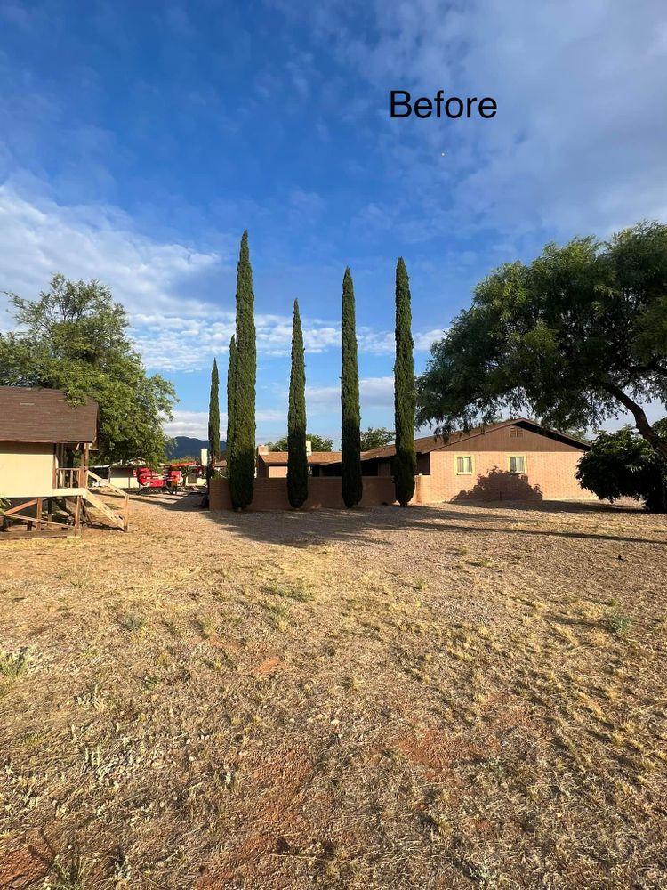 All Photos for By Faith Landscaping in Sierra Vista, AZ