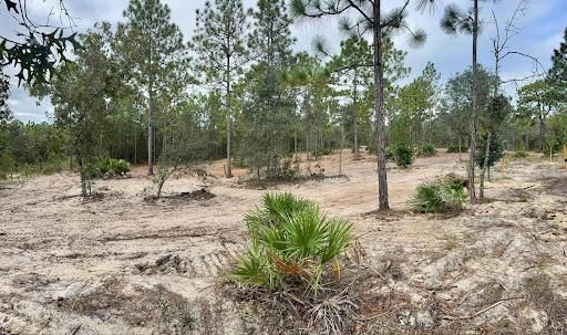 All Photos for All American Excavating Inc in Brooksville,  FL