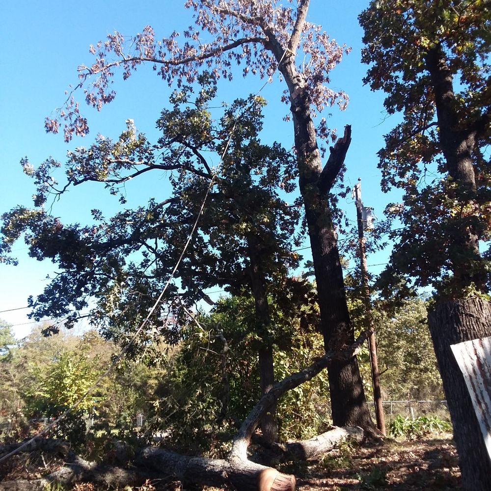 All Photos for Leon Landscaping & Tree Service in Palestine, TX