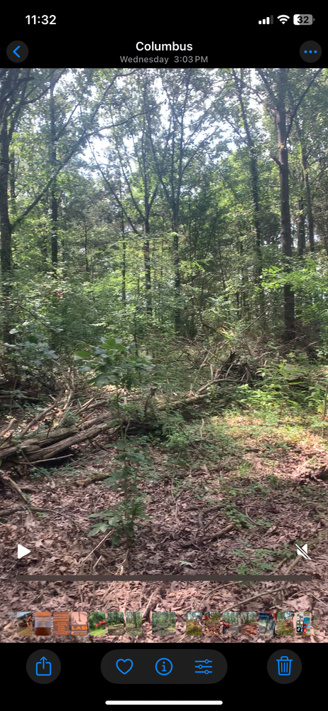 All Photos for Polasini Land Development in Starkville, MS