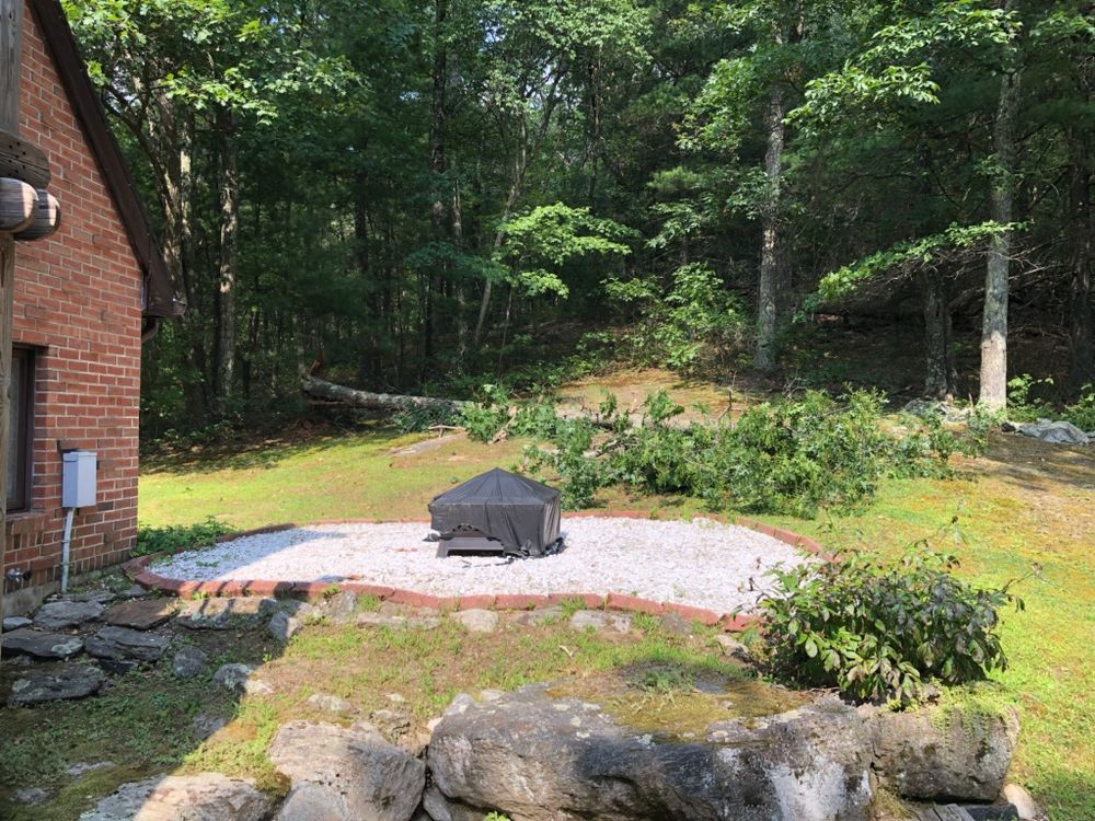 Hedge/Tree/Brush Cutting for Landscape Innovations LLC in Torrington, CT
