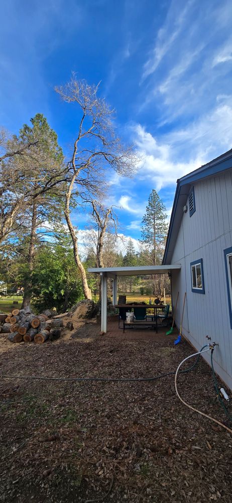 All Photos for George Staddan's Professional Tree Care in Placerville, CA