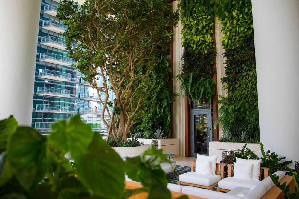 Landscape for Arazoza Brothers Corporation in Miami, FL