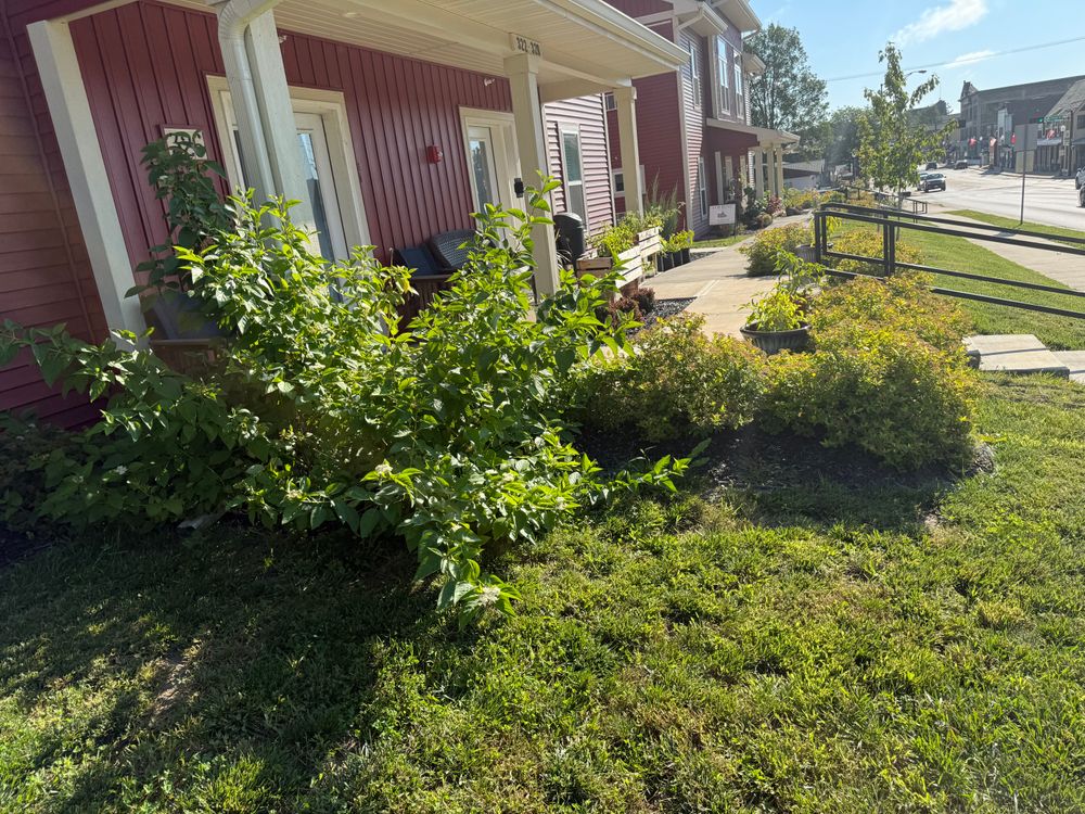 All Photos for Perfect Lawn Solutions LLC in Marshall, WI