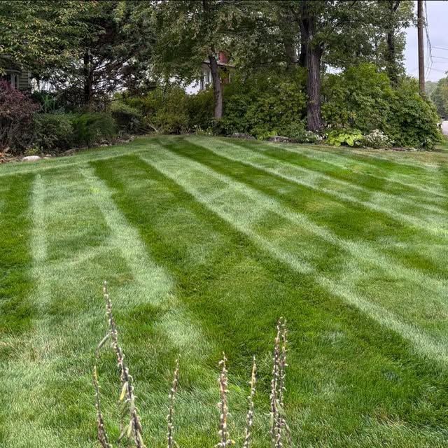 All Photos for MDR Landscaping in Urbana, IL